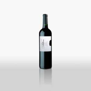 SOTTANO MALBEC X 750 ML.