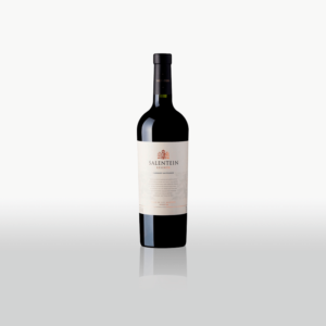 SALENTEIN CABERNET SAUVIGNON X 750 ML